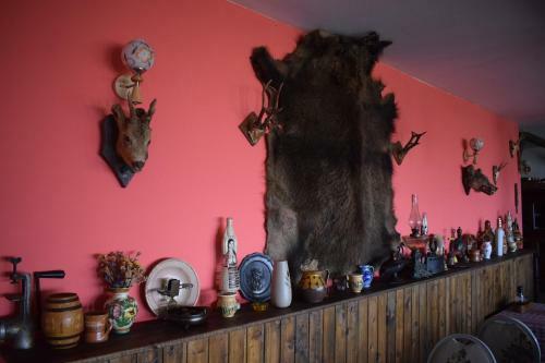 Hostal Hanu Lu Mos Opinca