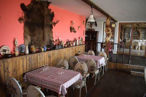 Hostal Hanu Lu Mos Opinca