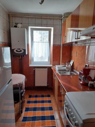 Apartament Andreea