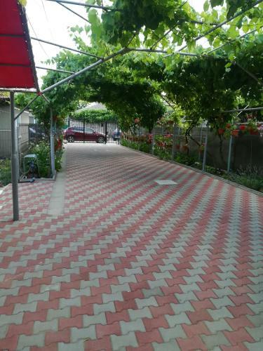 Hostal Vila Andre