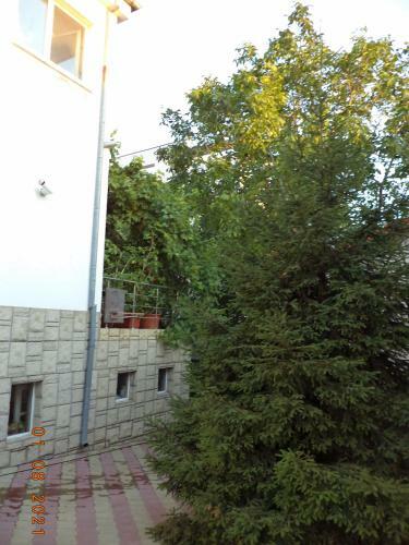 Apartamento Vila Irina
