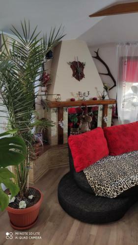 Studio Madi - Close To Beach