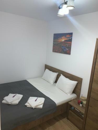 Apartment M2