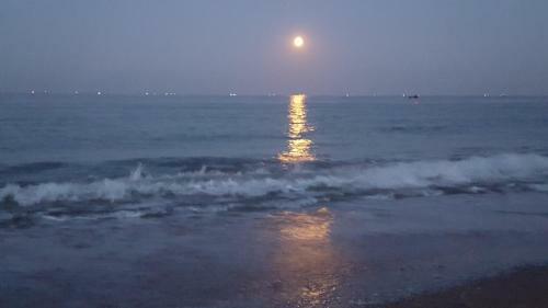 Apartamento Miruna