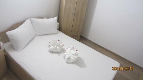 Hostal Casa Nicholas