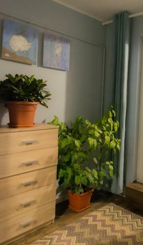 Apartament Harbour View