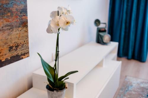 Apartamento Danmar Faleza