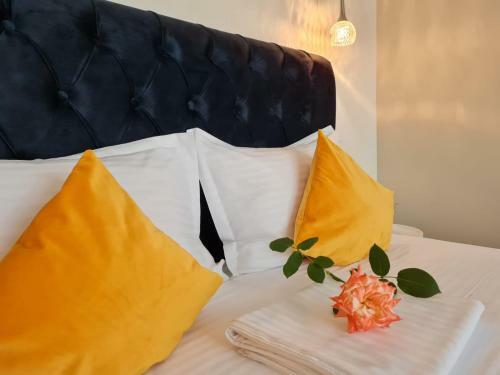 Hostal Vila Mrv
