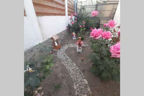 Casa Daria