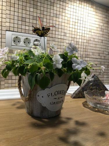 Apartamento Sea Studio