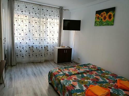Apartamento Peninsula-cazino,dalvi