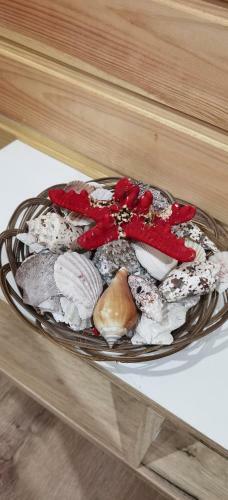 Hostal Magic Box