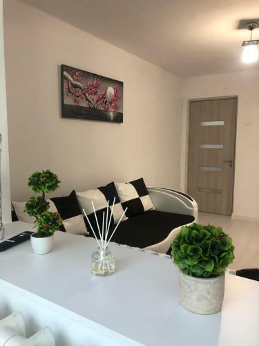 Apartament Mamaia Sat