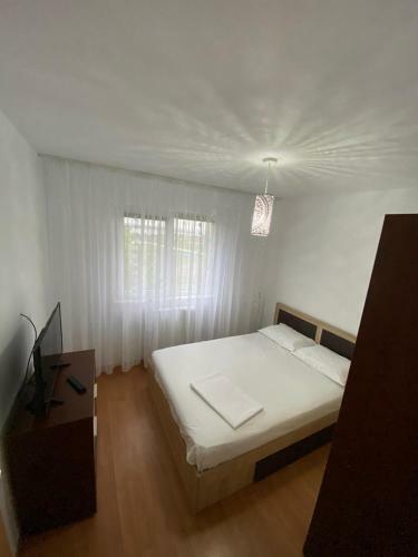 Apartament Andrei, Sat Vacanta