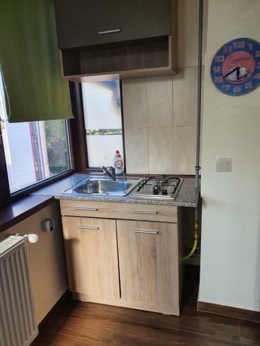 Apartamento Garsoniera Sat Vacanta