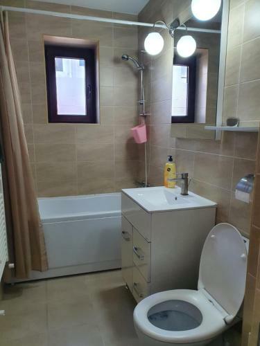 Apartamento Garsoniera Sat Vacanta