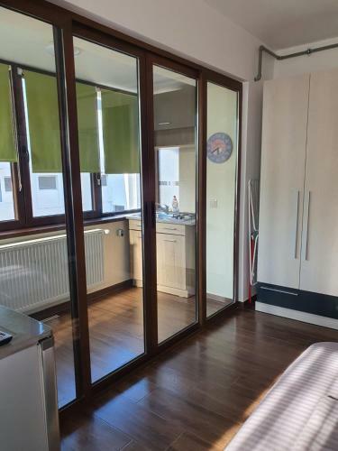 Apartamento Garsoniera Sat Vacanta