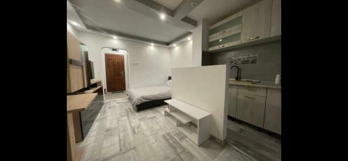 Apartamento Studio Badea Cartan