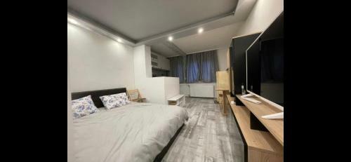 Apartamento Studio Badea Cartan