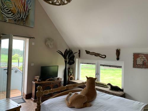 Bed & Breakfast Llamas Pyjamas