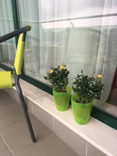Dora City Apartament
