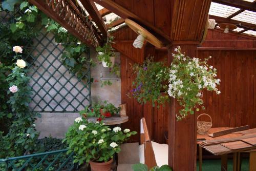 Hostal Cluj Center 2
