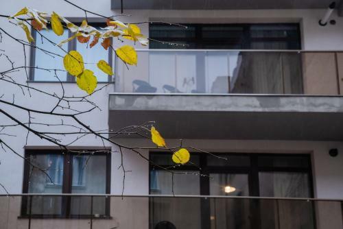 Nuuc Aparthotel Cluj-napoca