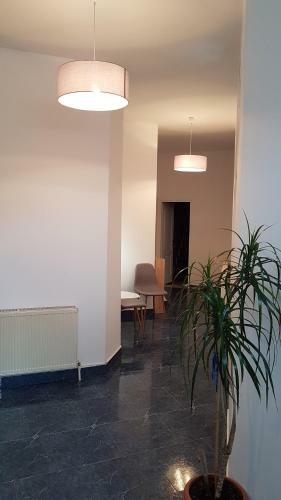 Gruia Apartment