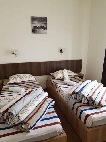Hostal Pensiunea Diadis