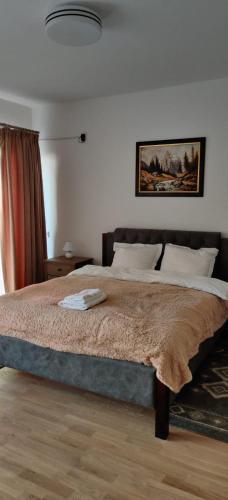 Apartament Sobarilor 38