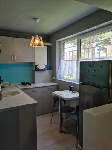 Zorilor Cactus Apartment