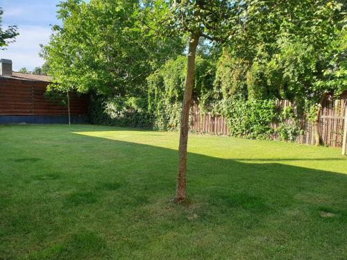 Luxury City Centre Apartment With Barbecue Grill