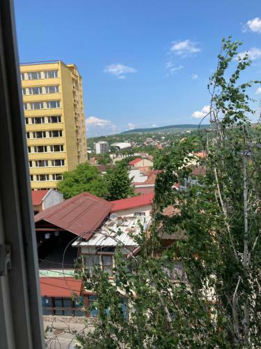 !!only During Untold!! - Cozy Apartment 500 Meters From Main Stage