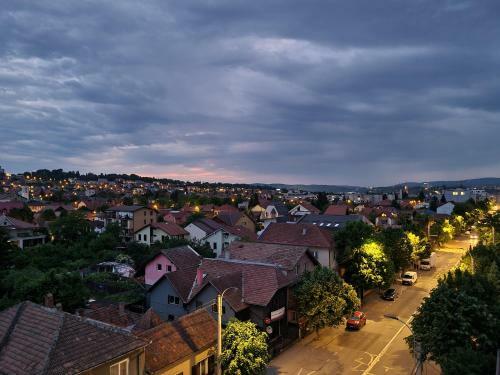 Parisian Apartment Cluj