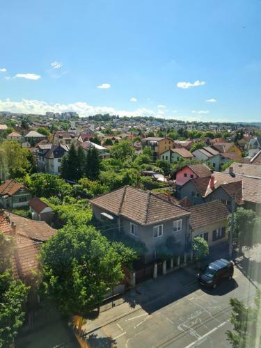 Parisian Apartment Cluj