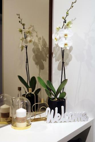 Apartamento Evo Residence