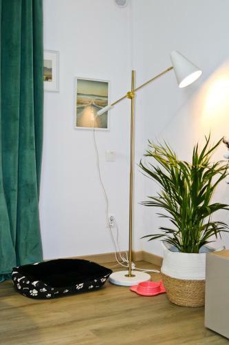 Apartamento Evo Residence