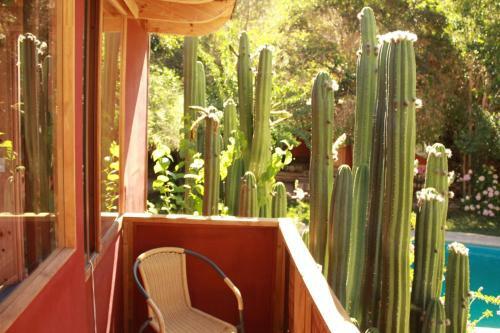 Apartamento El Jard�n Secreto-pisco Elqui