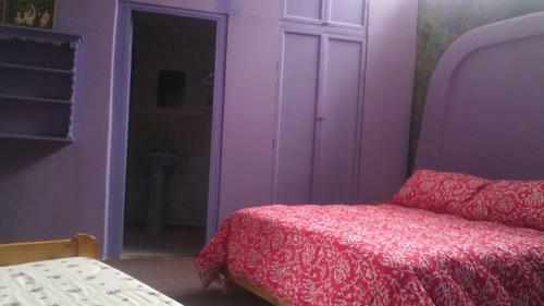Apartamento El Jard�n Secreto-pisco Elqui