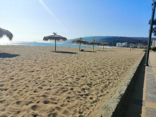 Papudo Laguna, Hermoso Apartamento Junto Al Mar