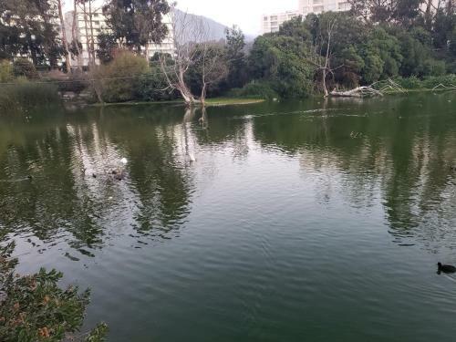Apartamento Departamento Alto Puyai