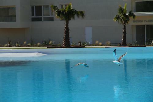Apartamento Papudo Laguna Clan Golondrina