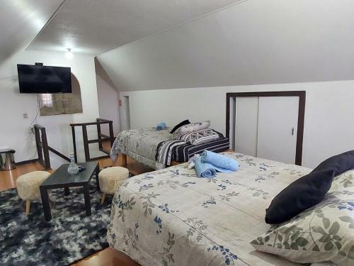 Hostal Salt 'n Pepper Retiro Sur