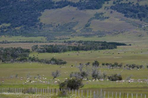 Estancia Tres Pasos