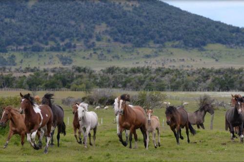 Estancia Tres Pasos