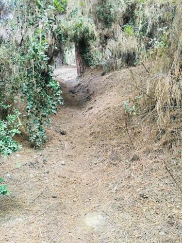 Caba�as Entre Monta�as