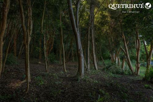 Bed & Breakfast Quetrihue