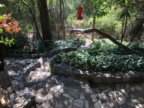 Casa de Monta�a Inmersa En Bosque Nativo