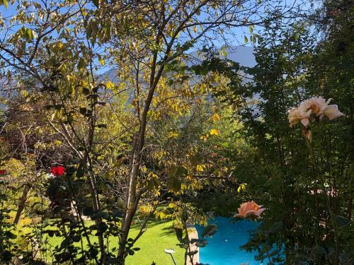 Casa de Monta�a Inmersa En Bosque Nativo