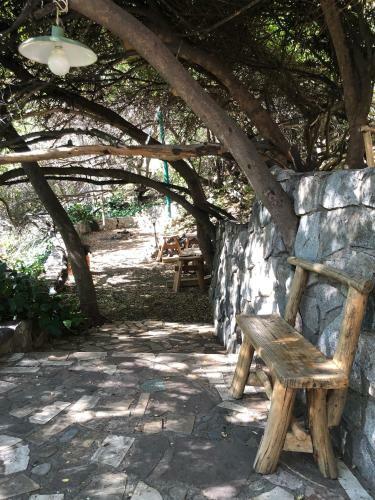Casa de Monta�a Inmersa En Bosque Nativo